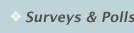 Surveys & Polls
